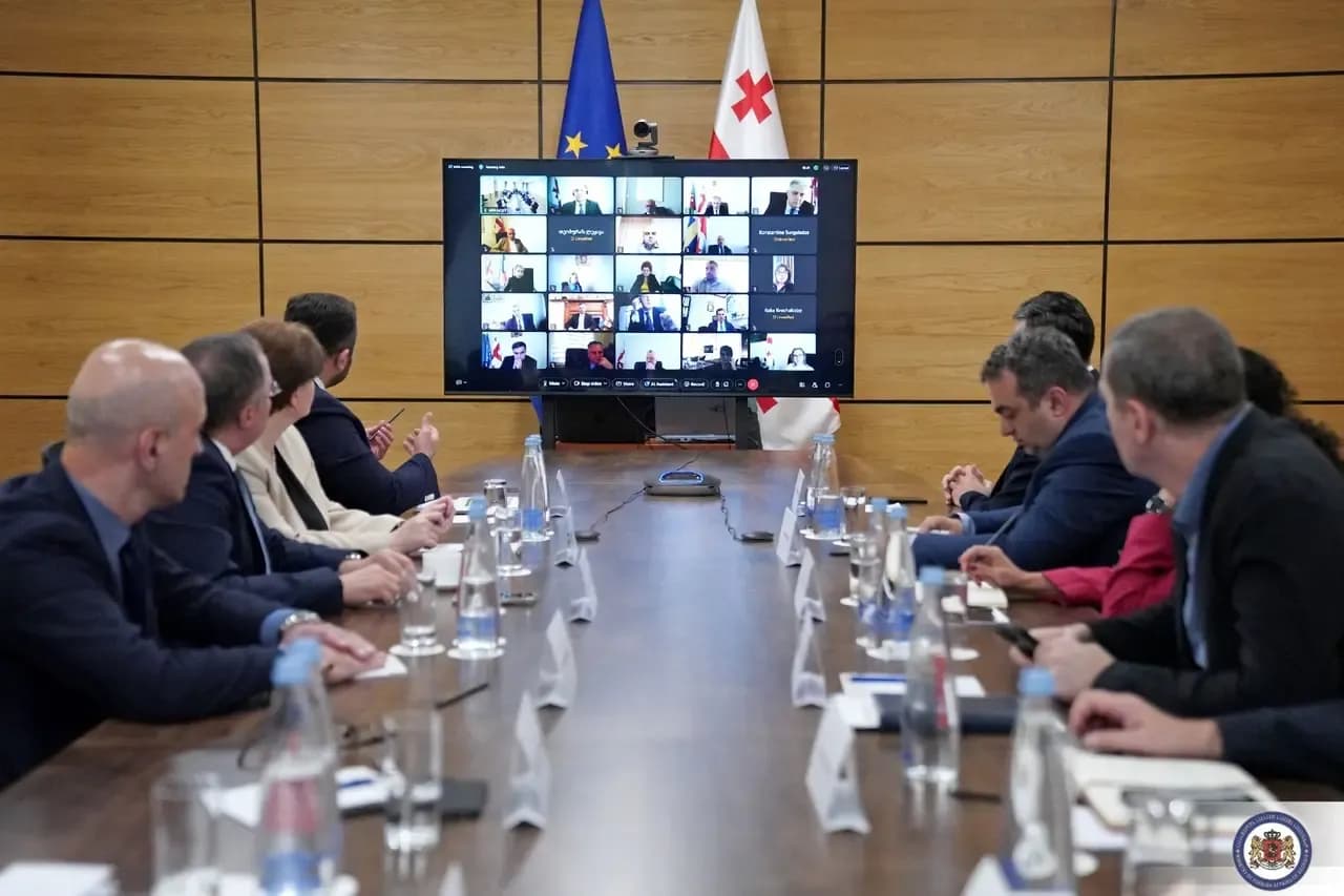 საგარეო საქმეთა სამინისტროში საქართველოს დიპლომატიური მისიის ხელმძღვანელთა მონაწილეობით  ცესკოს თავმჯდომარესთან შეხვედრა გაიმართა 